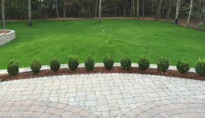 Hardscaping: Stone-brick patio lined with mini-shrubs and mulch - Greener Horizon