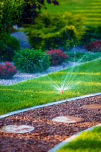 Pros and Cons of Different Irrigation Methods - Greener Horizon - Middleboro, MA