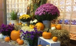 Seasonal Displays - Greener Horizon - Middleboro, MA 