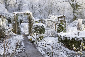 Winter is Coming: How to prepare your garden for winter - Greener Horizon - Middleboro, MA