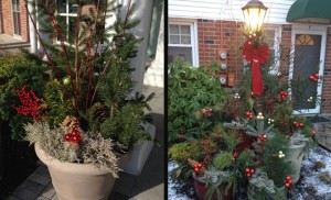 Christmas Lights Ideas - Greener Horizon - Middleborough, MA