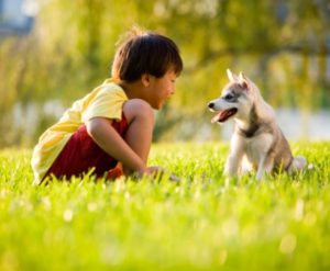 Children and puppy on lawn