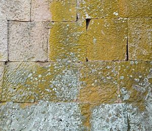 Grey stone covered with dashes of green lichen